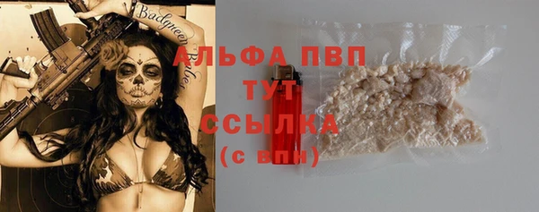 spice Краснослободск