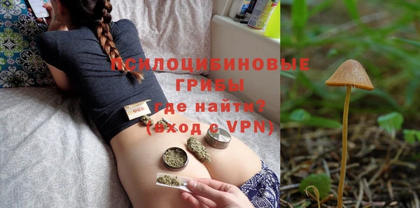 spice Краснослободск