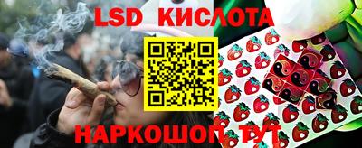бошки Кингисепп