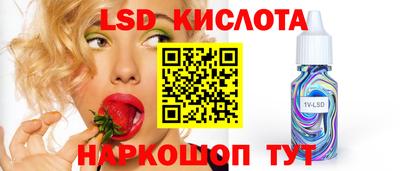 бошки Кингисепп
