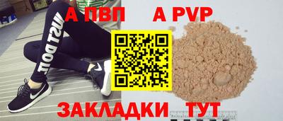 бошки Кингисепп