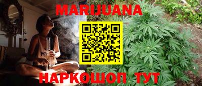 бошки Кингисепп