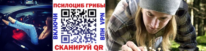 купить наркотики цена  блэк спрут ссылка  Галлюциногенные грибы Magic Shrooms  Тихвин 