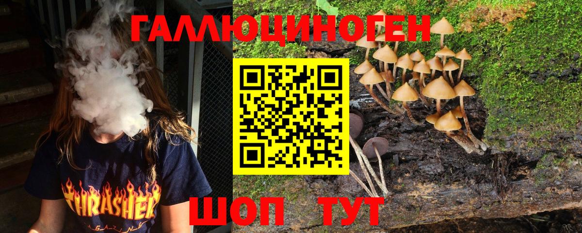Галлюциногенные грибы Cubensis  Псилоцибиновые грибы Magic Shrooms  Вход с VPN  Тихвин 