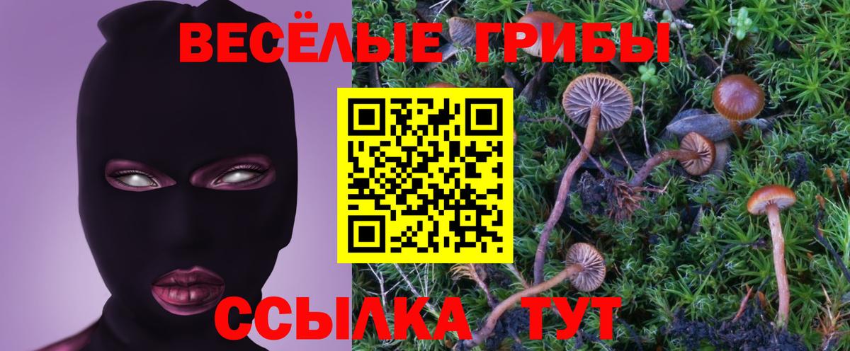 Галлюциногенные грибы Cubensis Тихвин
